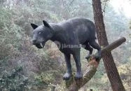 Ipolytarnóci Ősmaradványok Természetvédelmi Terület Ipolytarnóc