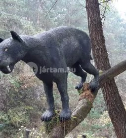 Ipolytarnóci Ősmaradványok Természetvédelmi Terület