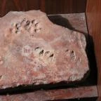 Ipolytarnóci Ősmaradványok Természetvédelmi Terület Ipolytarnóc - 