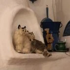 Kemencés Csárda Hajdúszoboszló - Belső