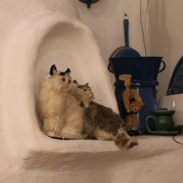 Kemencés Csárda Hajdúszoboszló - Belső