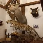 Kemencés Fogadó Étterme Tardos - Egyéb