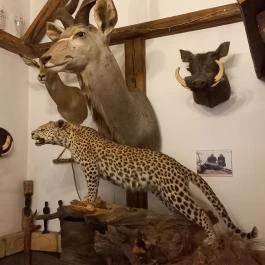 Kemencés Fogadó Étterme Tardos - Egyéb