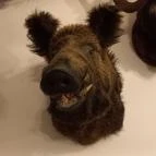 Kemencés Fogadó Étterme Tardos - Egyéb