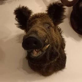 Kemencés Fogadó Étterme Tardos - Egyéb