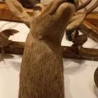 Kemencés Fogadó Étterme Tardos - Egyéb