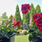 Kerék Csárda Dunaföldvár - Egyéb