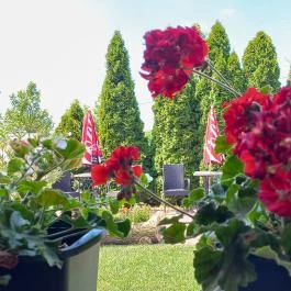 Kerék Csárda, Dunaföldvár - Egyéb