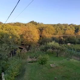 Kerekes Pince, Balatonalmádi - Egyéb