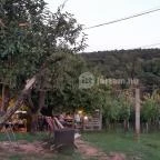 Kerekes Pince Balatonalmádi - Egyéb