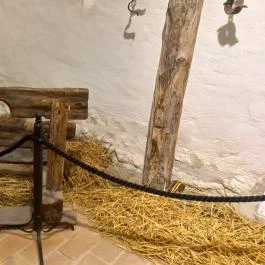 Thury-vár Várpalota - Egyéb