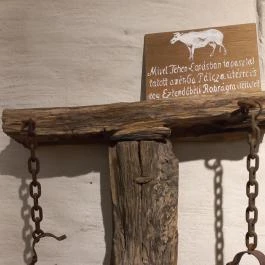 Thury-vár Várpalota - Egyéb