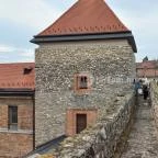 Thury-vár Várpalota - Egyéb