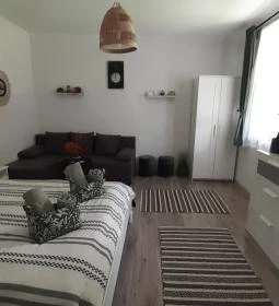 Ladislaus Schnaps-Haus Falusi Vendégház, Csolnok