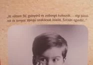 Latinovits Zoltán Emlékmúzeum Balatonszemes