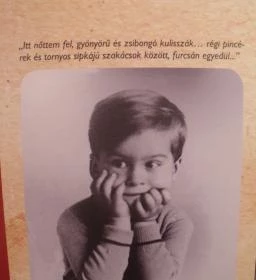 Latinovits Zoltán Emlékmúzeum