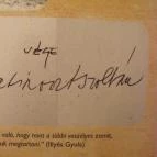 Latinovits Zoltán Emlékmúzeum Balatonszemes - 