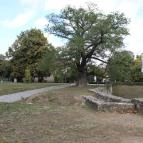 Rákóczi vár Sárospatak - 