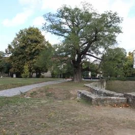 Rákóczi vár, Sárospatak - 