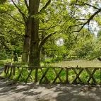 Vácrátóti Arborétum Vácrátót - 