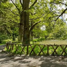 Vácrátóti Arborétum Vácrátót - Egyéb