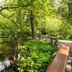 Vácrátóti Arborétum Vácrátót - 