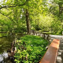 Vácrátóti Arborétum Vácrátót - Egyéb