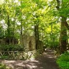 Vácrátóti Arborétum Vácrátót - 