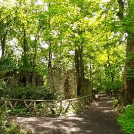 Vácrátóti Arborétum Vácrátót - Egyéb