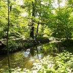 Vácrátóti Arborétum Vácrátót - 