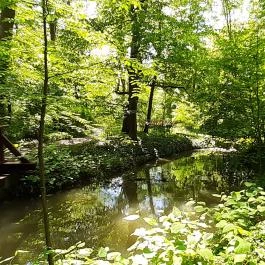 Vácrátóti Arborétum Vácrátót - Egyéb