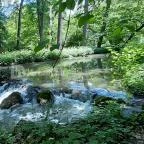 Vácrátóti Arborétum Vácrátót - 