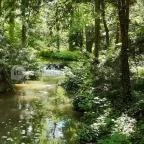 Vácrátóti Arborétum Vácrátót - 