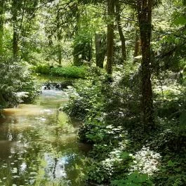 Vácrátóti Arborétum Vácrátót - Egyéb