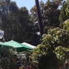 Makkos Vendéglő Fonyód - Külső kép