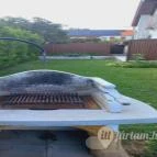 Mandorla Apartman Balatonalmádi - Egyéb