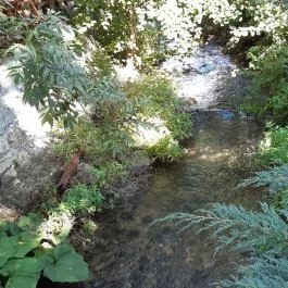 Molnár Csárda Lillafüred - Egyéb