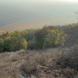 Nagyharsányi Szoborpark Nagyharsány - Egyéb
