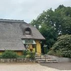 Nyerges Hotel Termál - Albion Étterem Monor - Egyéb