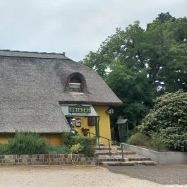 Nyerges Hotel Termál - Albion Étterem, Monor - Egyéb