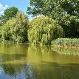Ópusztaszeri Nemzeti Történeti Emlékpark Ópusztaszer - Egyéb