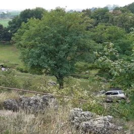 Ösküi kerektemplom Öskü - Egyéb