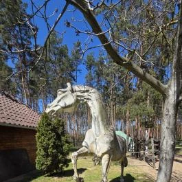 Paripa Csárda, Debrecen - Külső kép