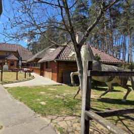 Paripa Csárda, Debrecen - Külső kép