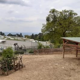 Pécsi Állatkert, Pécs - Egyéb