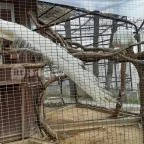 Pécsi Állatkert Pécs - Egyéb