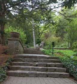 Pintér-kert arborétum