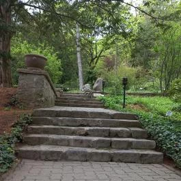 Pintér-kert arborétum Pécs - Egyéb