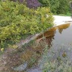 Pintér-kert arborétum Pécs - Egyéb