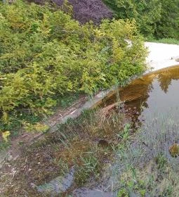 Pintér-kert arborétum